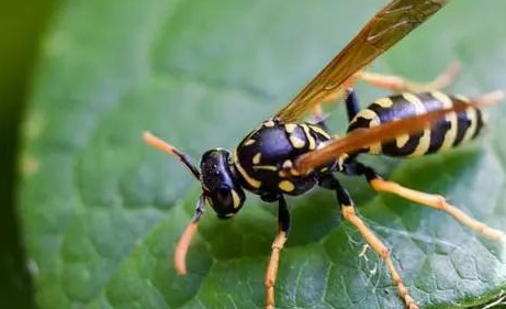 ���������˲��׾��Ǵ�ʹ��ô�� ��ô�жϷ����ڲ���